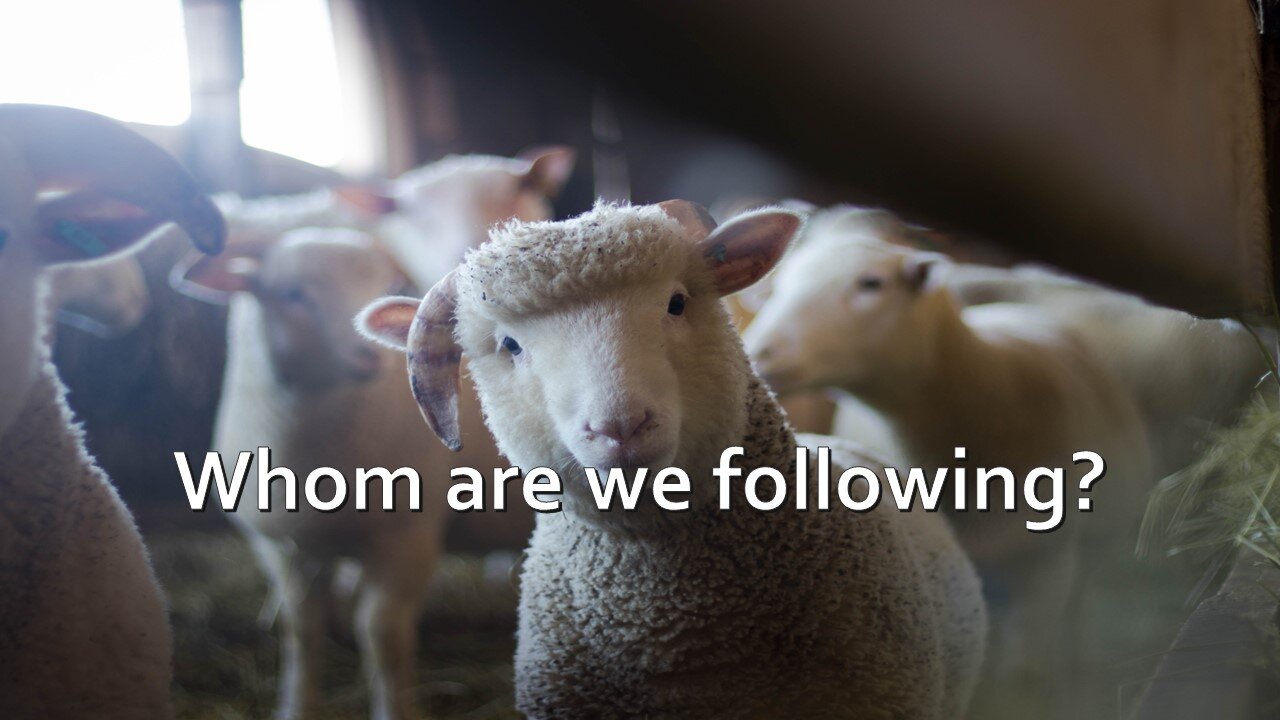 Sermon Only | Whom are we following? | October 18, 2023