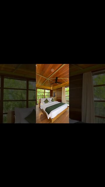 This Luxury TreeHouses is so Dreamy! 🌴 #shorts #architecture #treehouse #bali #interiordesign