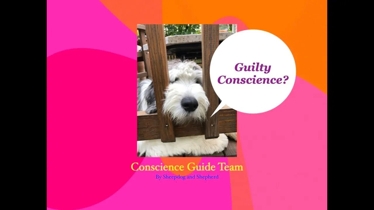 Conscience Guide Team