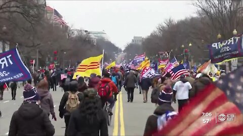 Dr. Susan MacManus speaks on protests in D.C.