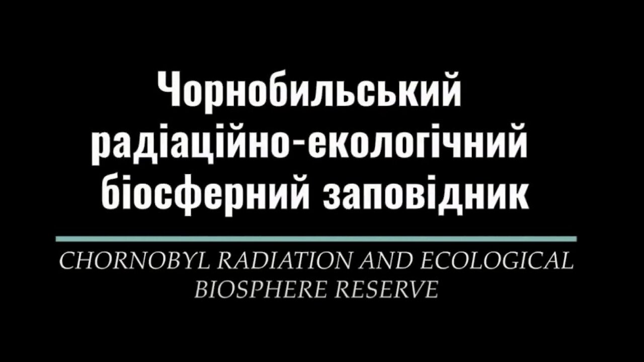 Chernobyl - summer 2021 wildlife and animals without people