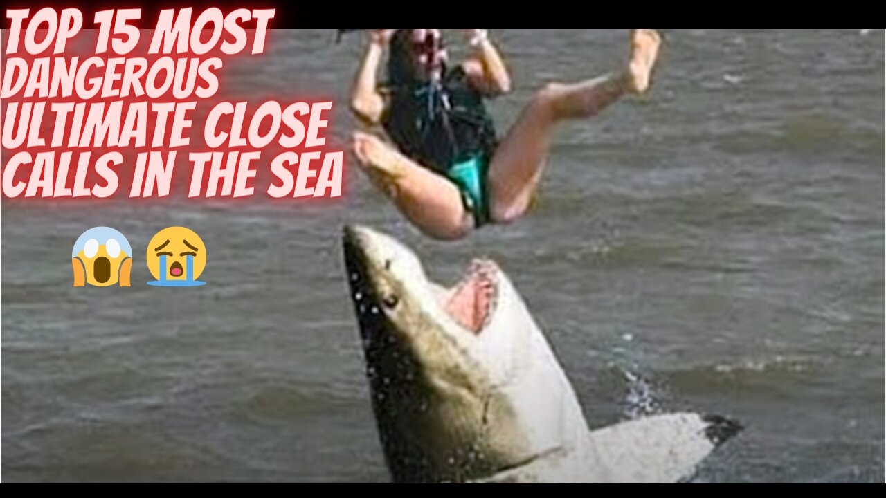 15 Most Dangerous Ultimate Close Calls In the Sea