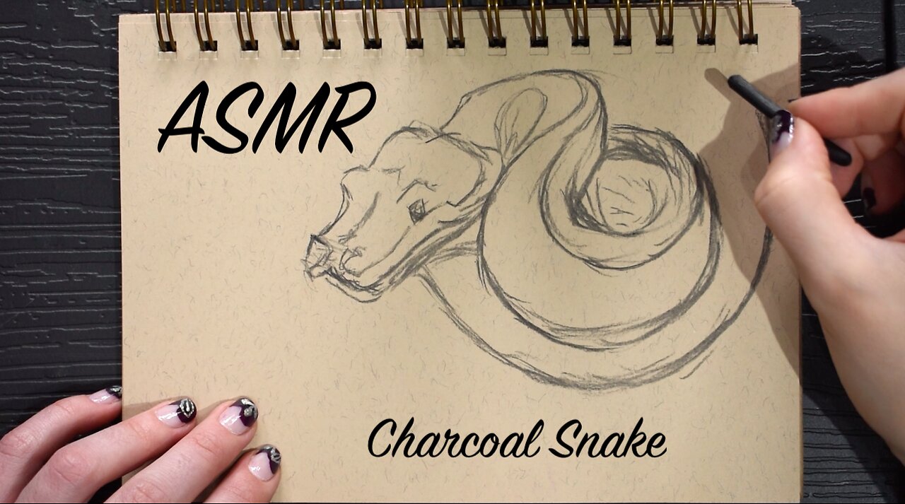 ASMR Charcoal Snake | Quiet Sketching Session | (No Talking)