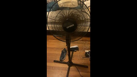 A fan