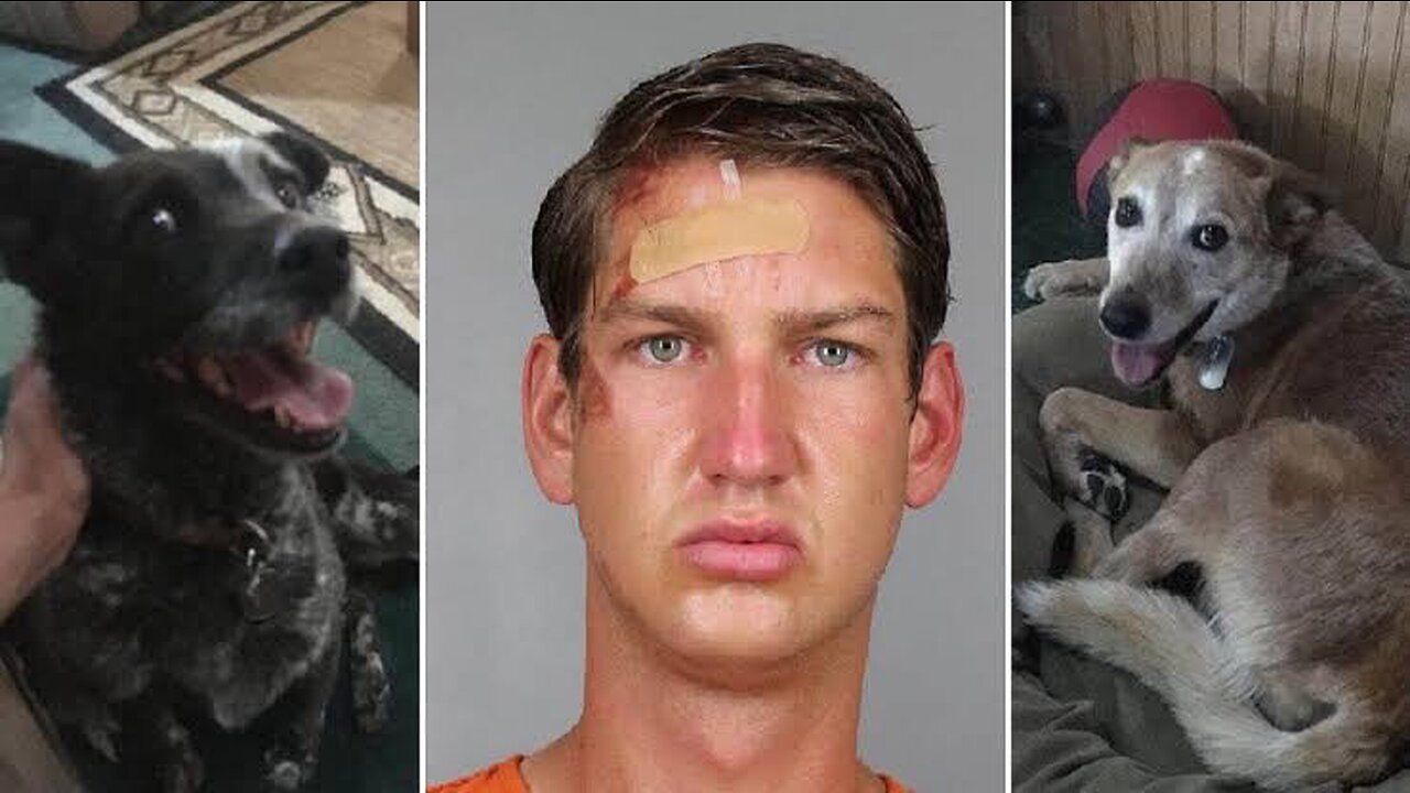 Disturbing vedio _ fort smith man arrested for animal abuse