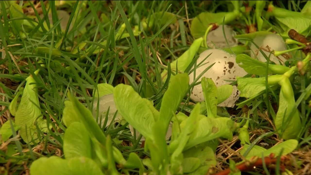 Western Iowa pelted with large hail and severe storms on Wednesday