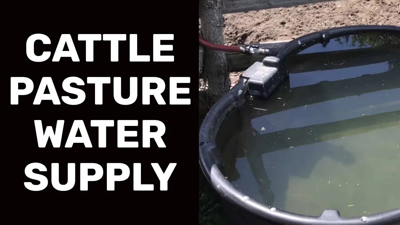 Cattle Pasture Water Supply