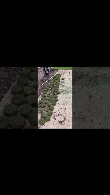 Dad Jokes with a Confusing Backdrop