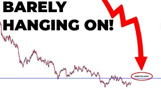 Can Tesla Stock Save Thanksgiving?! 📉🦃