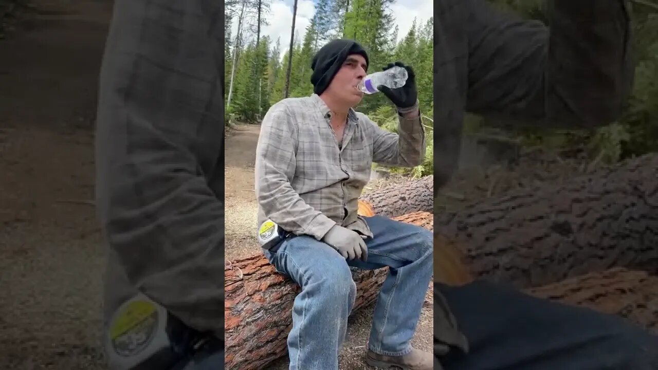 Timbering: Epic Fail Tree Fall Video