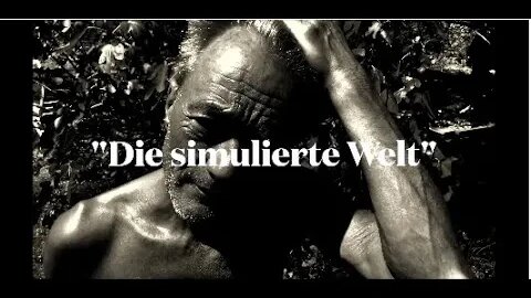 Die simulierte Welt (ungeordnete Gedanken über Diktatur, Menschenwürde und das falsche Leben)