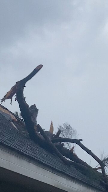 Day after Hurricane Laura 2020