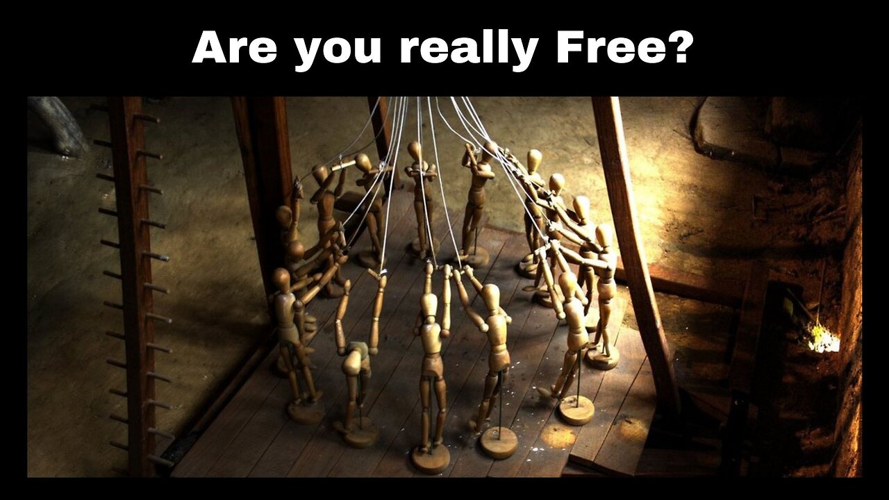 Are you Really Free?