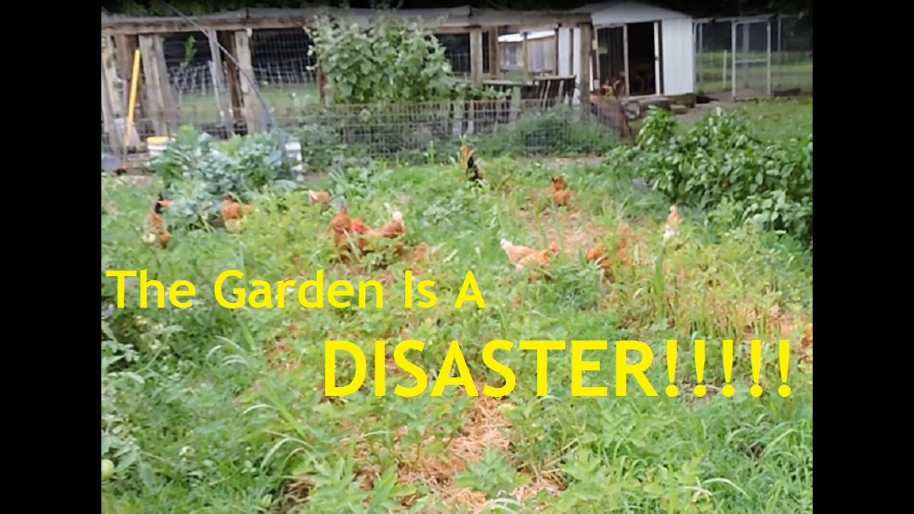 The Garden Is Disaster!