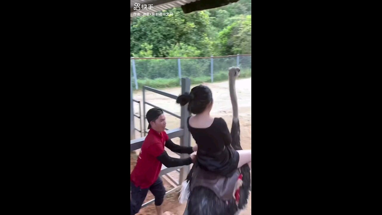 new funny viral video on rumble