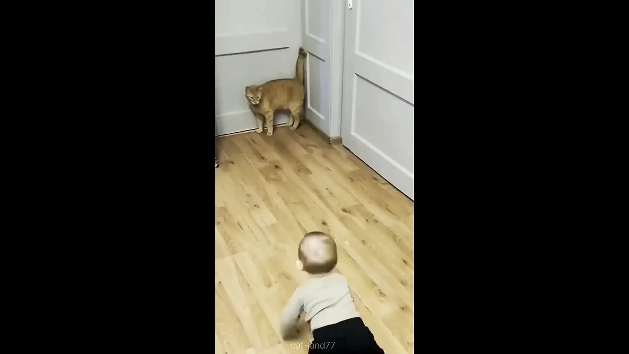🤗🤗🤗 Funny Video