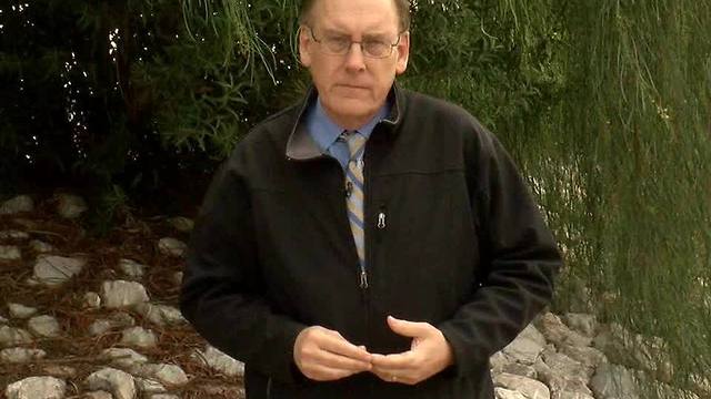 Palo Verde neighborhood seeing more coyotes
