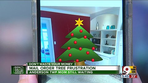 Delivery of mail-order Christmas trees delayeds