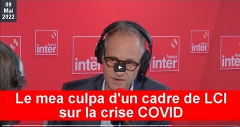 Cadeau - Little 2022044 Montage façon LAile à Stick Le mea culpa dun cadre de LCI