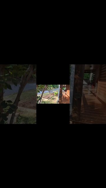 My Most Drastic Job Yet! #beforeandafter #landscaping #shorts #bluecollar #cabin