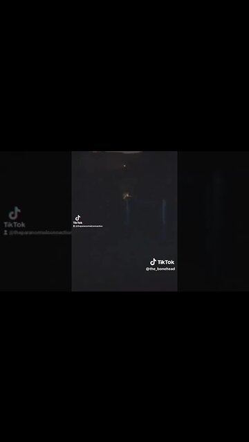 The Fence Gate at 3 am