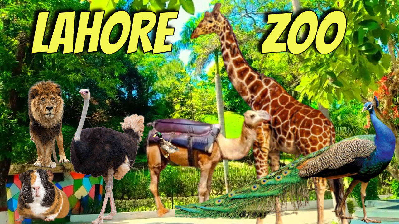 LAHORE ZOO