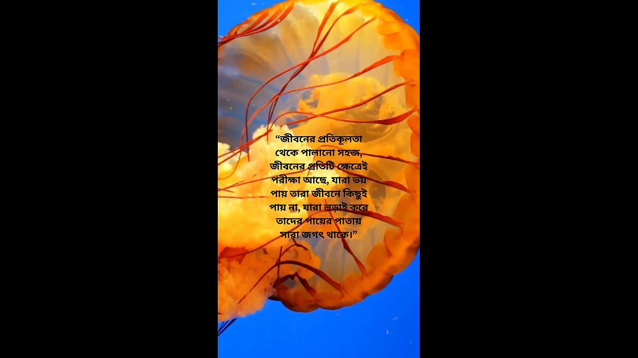 motivation 1