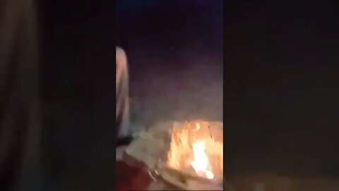 Bugs don't like Chilli powder
