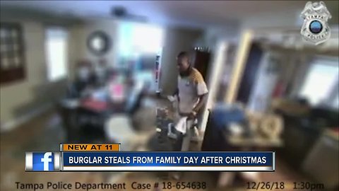 Tampa homeowner says burglar stole son's piggy banks, her laptops with irreplaceable pictures