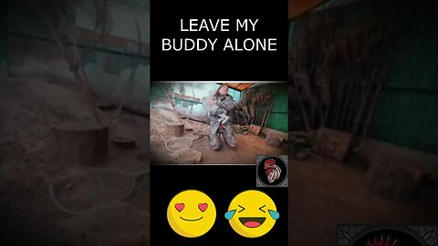 Leave my buddy alone #funny