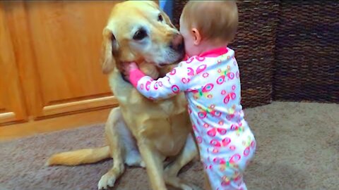 Cute Babies Playing with Pets🐶👶