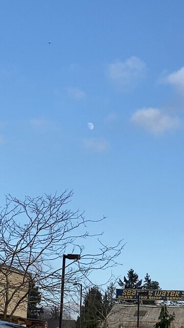 Afternoon moon...