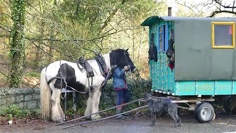 Horse Drawn Traveller in Britain