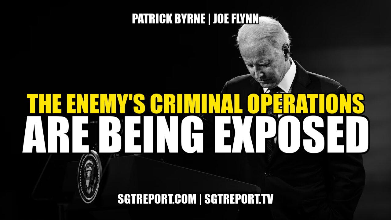 THE ENEMY'S CRIMINAL OPERATIONS ARE BEING EXPOSED - PATRICK BYRNE & JOE FLYNN