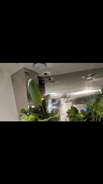 동대문디자인 온실 식물원