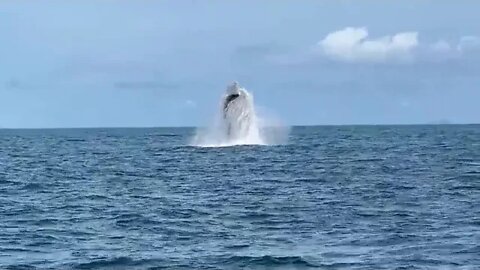 $1 = vs = $1,000,000 Hotel Room!