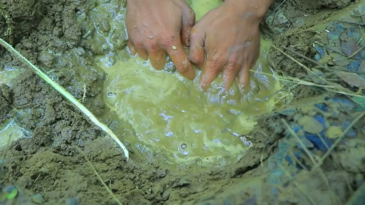 2Find crab in water for cook | Eat crab and cucumber with carrots1 10
