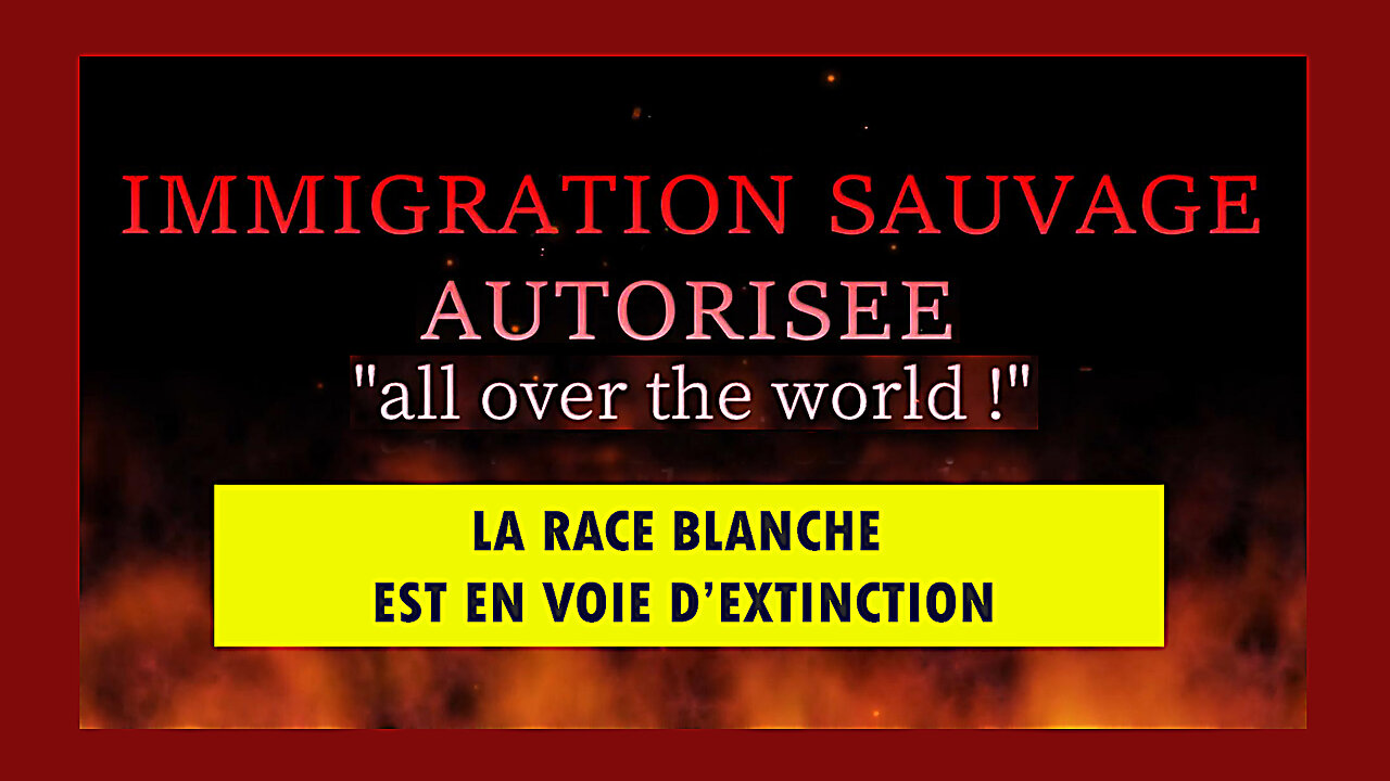 IMMIGRATION "sauvage" autorisée. La race blanche est-elle en voie d'extinction ? (Hd 720)