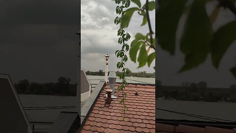 Галерија на Дунаву