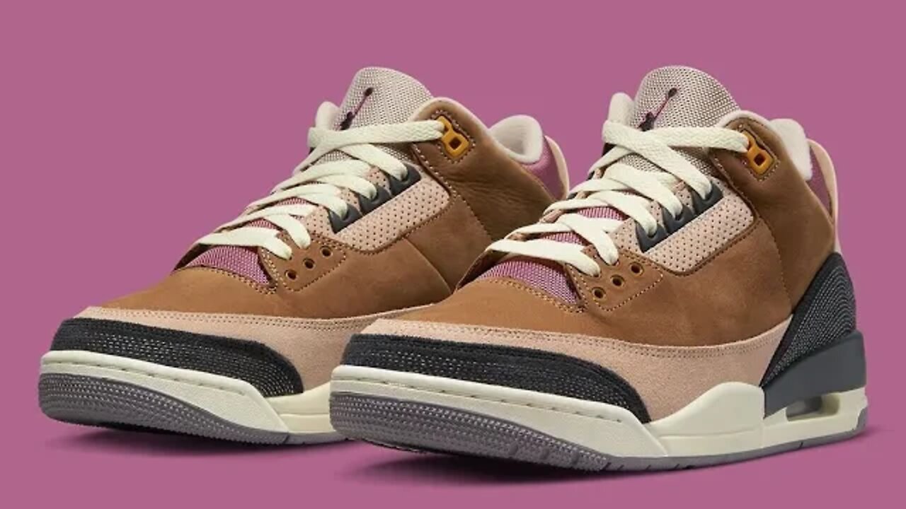 Air Jordan 3 Retro SE Archaeo Brown