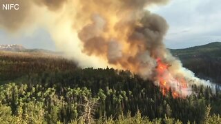 How wildfires are affecting COVID-19