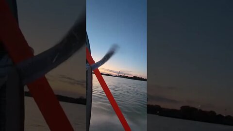 Switched up gears and went on a layout hunt this morning, more videos to come! Blue bills in the sky