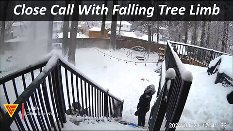 Close Call With Falling Tree Limb Caught On Wyze Camera | Doorbell Camera Video