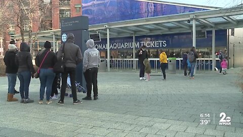 National Aquarium reopens after adopting new measures to improve social distancing