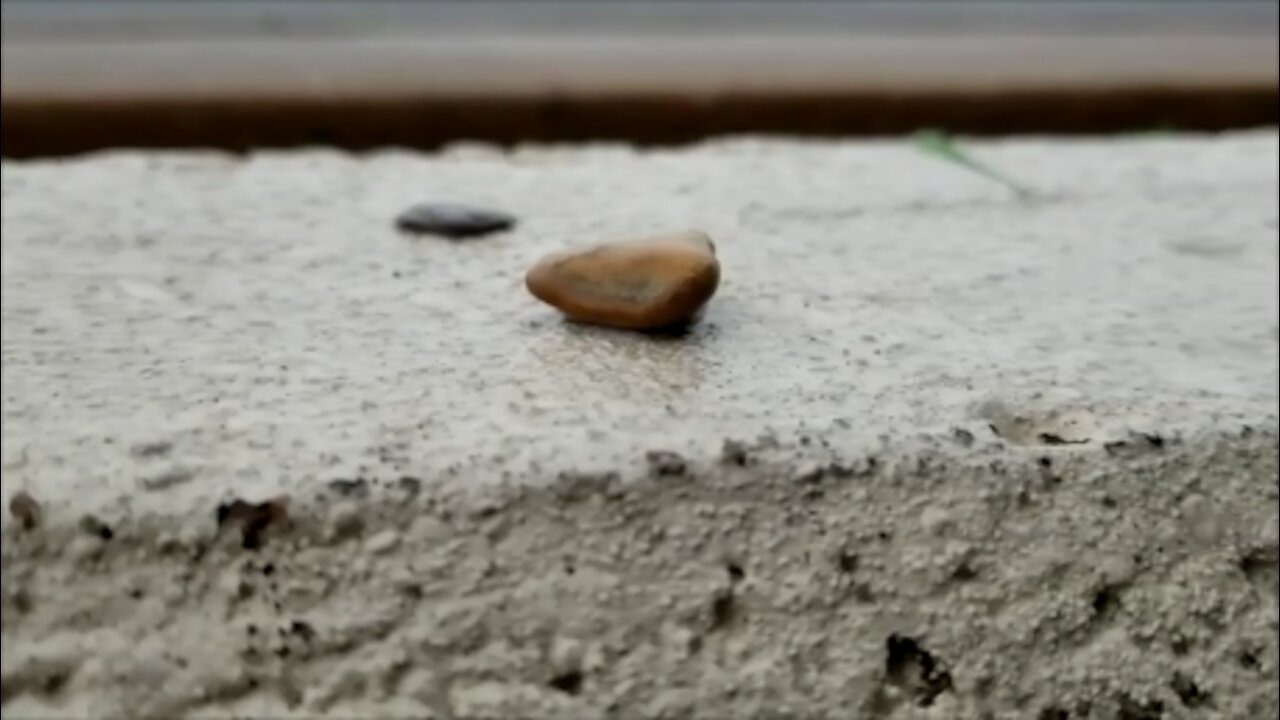 Pebble Off A Ledge