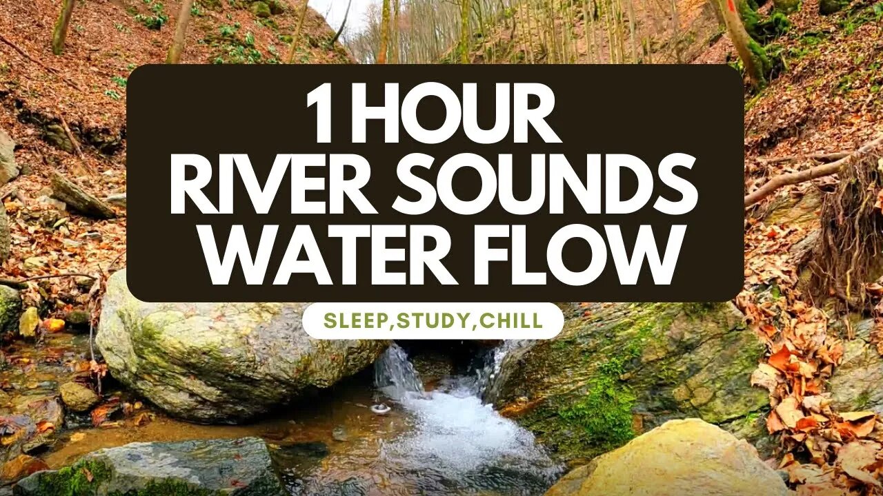 RIVER SOUNDS - WATER FLOW | SOOTHING RELAXATION | SLEEPING, STUDY, CHILL