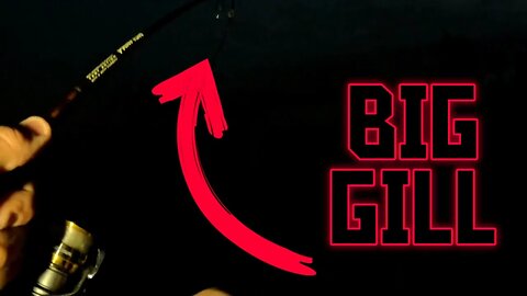 GIANT Bluegill Bites At NIGHT! I Couldn't Believe It!