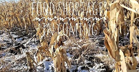 Food Shortages: Hard Truths