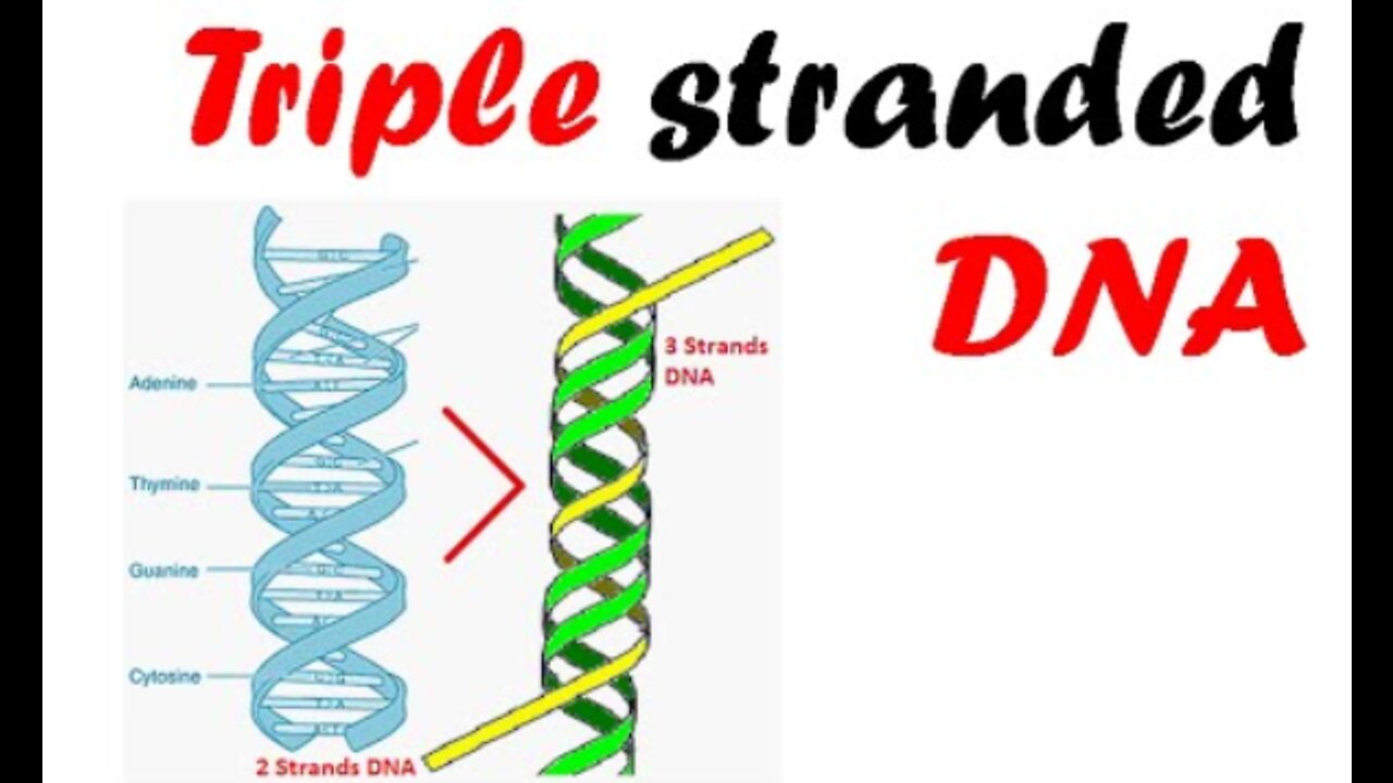 DID YOU SEE THE QUEEN BEE REVEAL THE AGENDA - THE DNA TRIPLE HELIX OF THE VACCINATED