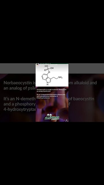 What is Norbaeocystin? - Magic Ingredient #shorts